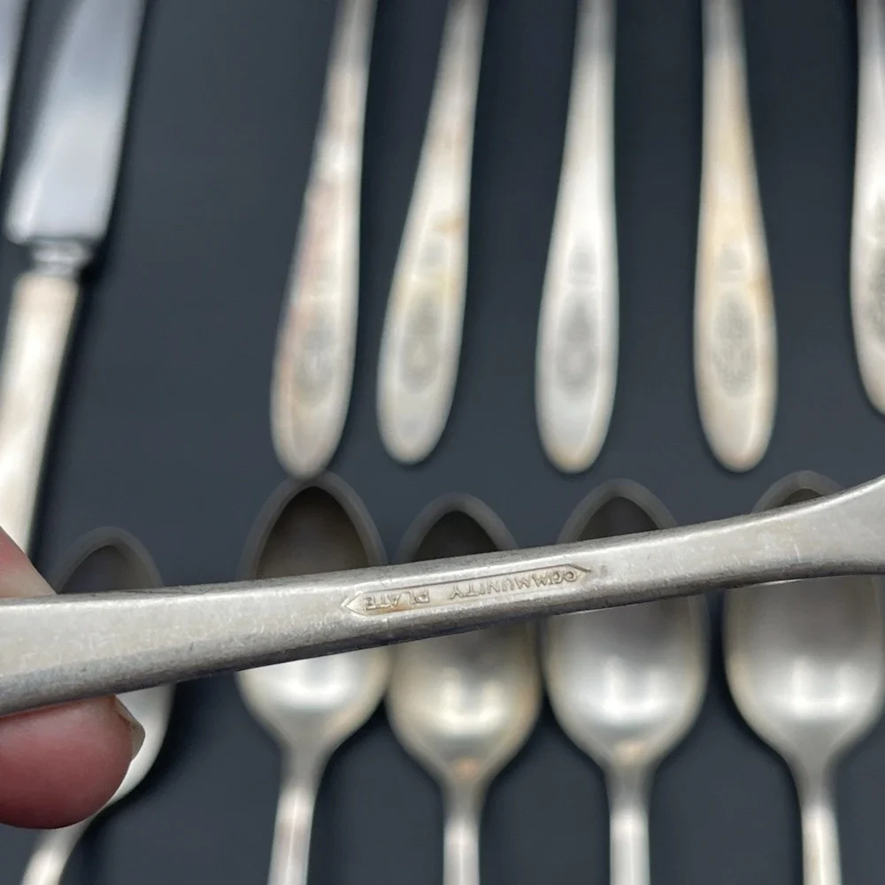 Oneida Community Bird of Paradise Silverplate Flatware Lot 18 Pc 1923